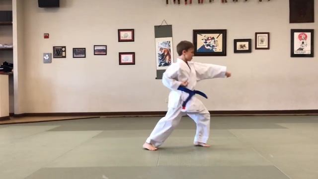 David Gershberg. Online Competition Uventex Sports Hub Kazakhstan. Blue Belt Beginner Kata смотреть онлайн