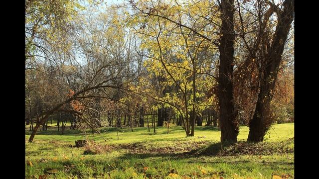 Осень. Парк "Дубовая Роща", г. Запорожье, 2023 г. смотреть онлайн