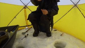 Ловля окуня в марте . Рыбалка на Ишиме .