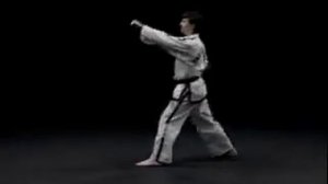 Дан Гун видео в тхэквондо туль  на желтый пояс 8 гып, хьенг 21 движение, комплекс Dan Gunl вид сзад