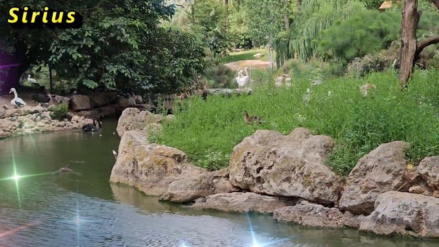 Этот ритуал поможет Вам избавиться от черной полосы смотреть онлайн