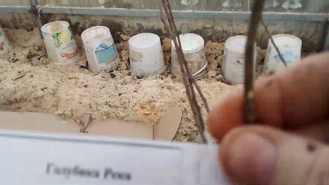 РАЗБОР ПОСЫЛКИ С ГАРДЕН КЛАСС В ДЕТАЛЯХ ПРОДОЛЖЕНИЕ смотреть онлайн