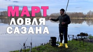 Как ловить карпа ранней весной? КАРПФИШИНГ ПО ХОЛОДНОЙ ВОДЕ