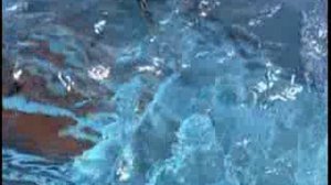 Трагедии на море. Затонувшие субмарины (2 серия)