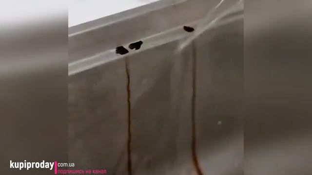 Моющая щетка для посуды с дозатором: полезные товары для кухни с алиэкспресс смотреть онлайн