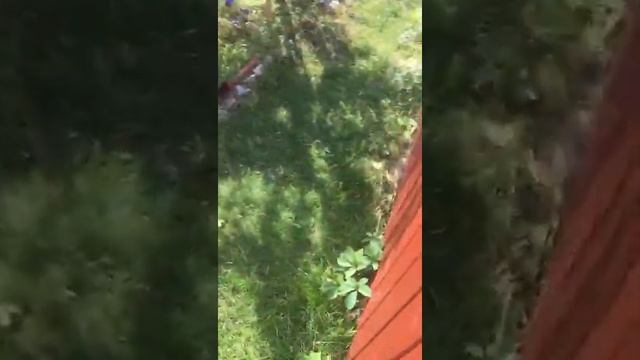 Чем покрасить беседку? Отзыв пропитка для дерева Drevo Pro Hidrostop Aqua Matt в Новосибирске смотреть онлайн