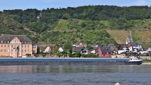 Мой друг бомж уехал в Германию. Последовал ли я за ним? смотреть онлайн