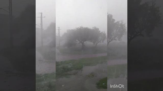 Lluvia Con Relámpagos.