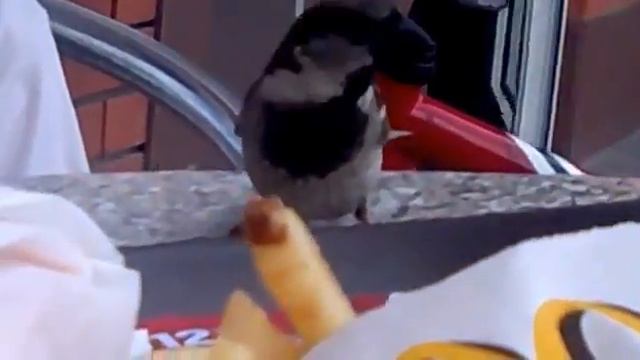 Наглость второе счастье смотреть онлайн