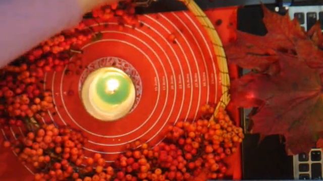 Дарю Вам живой рябиновый букет! Осенний поцелуй, шорох листопада, лунная соната - всё для Вас.... смотреть онлайн