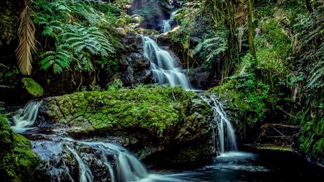 Звуки Природы / Звук ручья, Лесной ручей, Шум ручья