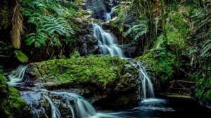 Звуки Природы / Звук ручья, Лесной ручей, Шум ручья