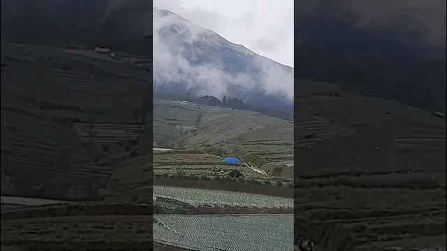CB ANKER TOURING di NEPAL VAN JAVA dan ds.sayur Suka makmur - Magelang смотреть онлайн