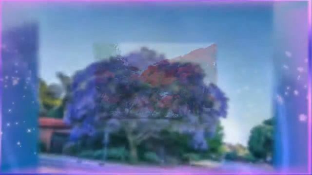 Самые красивые цветущие деревья смотреть онлайн