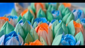 КАК ОТСАДИТЬ ЗЕФИРНЫЕ ТЮЛЬПАНЫ