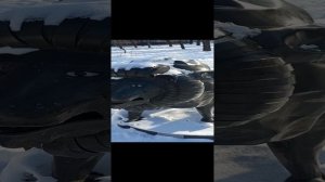 Достопримечательности Хабаровск