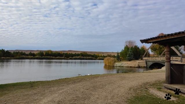 Парк с оленями в поселке Луна смотреть онлайн