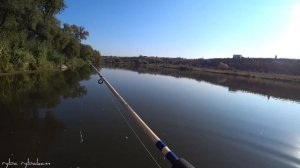 БЮДЖЕТНЫЙ СПИННИНГ! ЛОВЛЯ ХИЩНИКА НА КРОКОДИЛ. РЕАЛЬНО ЛИ ЧТО-ТО ПОЙМАТЬ?