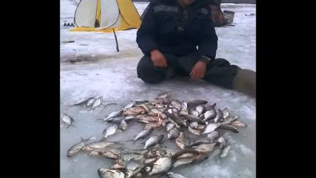 День рождения VolgaFishingClub. Нам 2 года! +БОНУС-ТРЕК смотреть онлайн