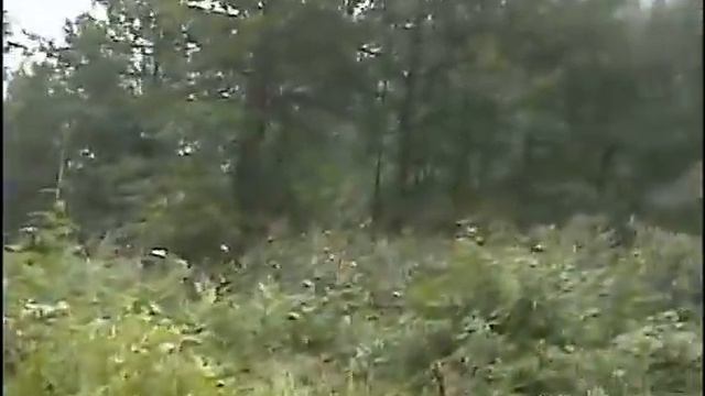 Пик Черского 2003 смотреть онлайн