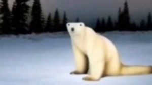 Белый Медведь 2026 год мем