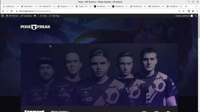 Best Gaming and eSports Website Ever | Game, Tournament, Teams Features Website | PixieFreak Theme смотреть онлайн