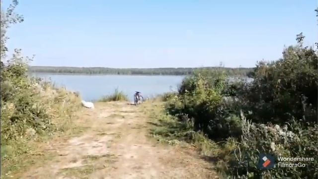 Уборка мусора на берегу озера смотреть онлайн