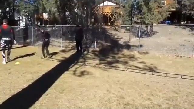 Бокс, Тренировка Ломаченко и Гвоздика на Быстроту Ног смотреть онлайн
