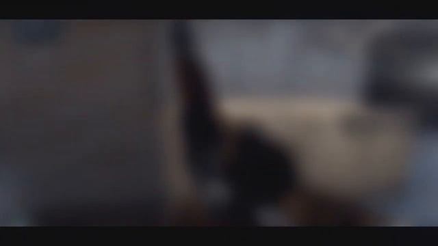 [CF] IMMORTAL #3 смотреть онлайн