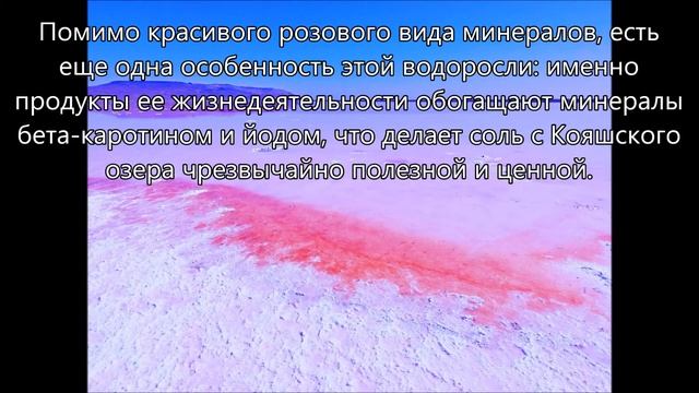 КРЫМ : Саки. Лечебное Кояшское розовое озеро.CRIMEA : Saki. Curative Koyashsky Pink Lake.