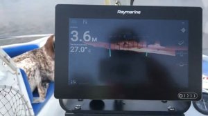Эхолот Raymarine 9 AXIOM  RealVision 3D