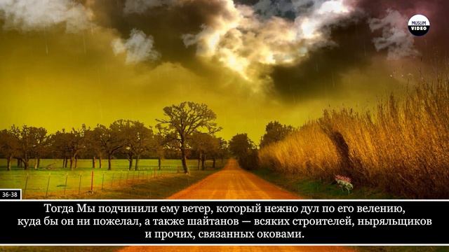 Faisal Ar-Rashood. 38 Сад (Сад) смотреть онлайн