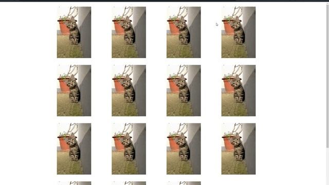 Infinite Scroll Implementation Using JavaScript смотреть онлайн