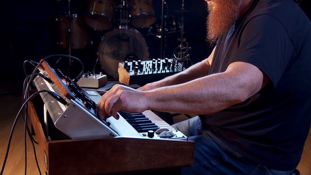 Moog Minimoog Model D - Quick Jam