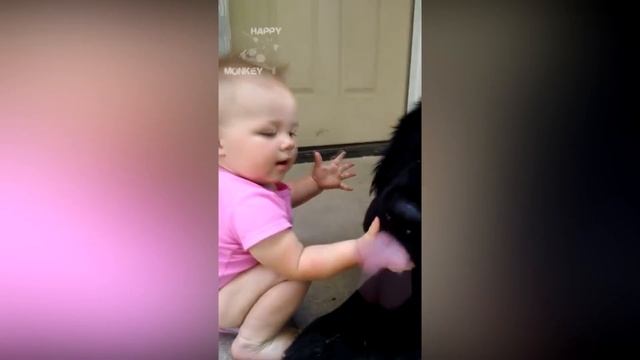 Giant Newfoundland Dogs Playing With Babies Compilation смотреть онлайн