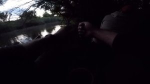 Ловля сома на закидушки. Catfish