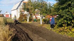 Как пашет мотокультиватор "Сейм"