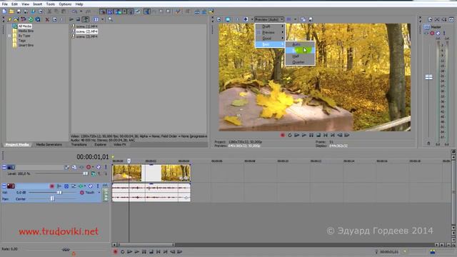 Урок 18. Из видео делаем фото в Sony Vegas. смотреть онлайн