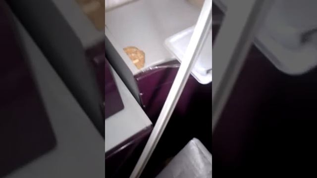 Отзыв кухня хофф. Стадия ремонт. Фиолетовая кухня. смотреть онлайн