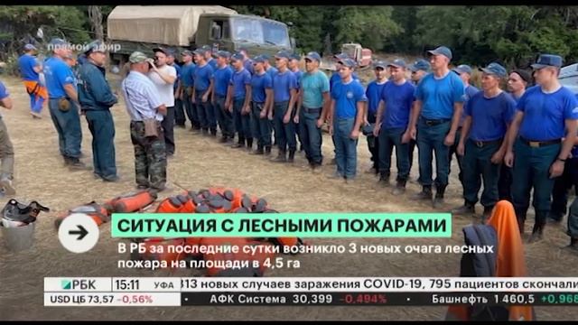 В РБ за последние сутки возникло 3 новых очага лесных пожаров на площади в 4,5 га