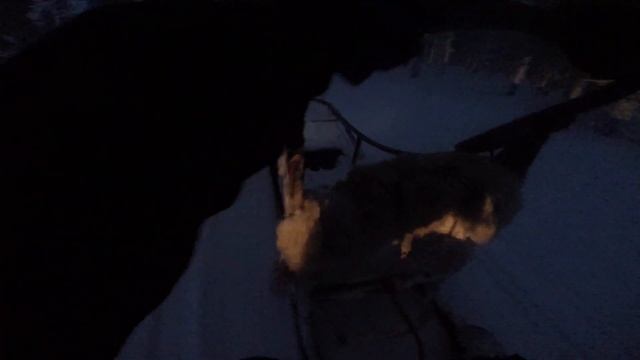 Ездовые собаки упряжка 8 собак Trening 8 dog Finland, lapland смотреть онлайн