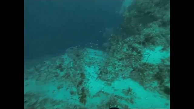 sea dive mark II смотреть онлайн