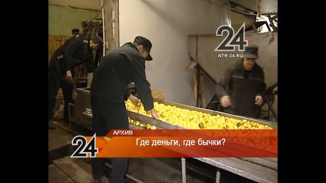 сотрудников колонии подозревают в присвоении 6 млн смотреть онлайн