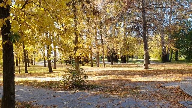 Домашний влог \ Краски осени \ Готовлю пиццу по новому рецепту \ Варю кофе смотреть онлайн