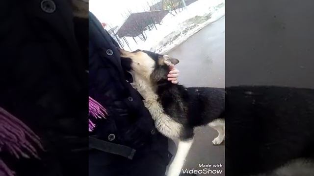 Настоящая любовь смотреть онлайн