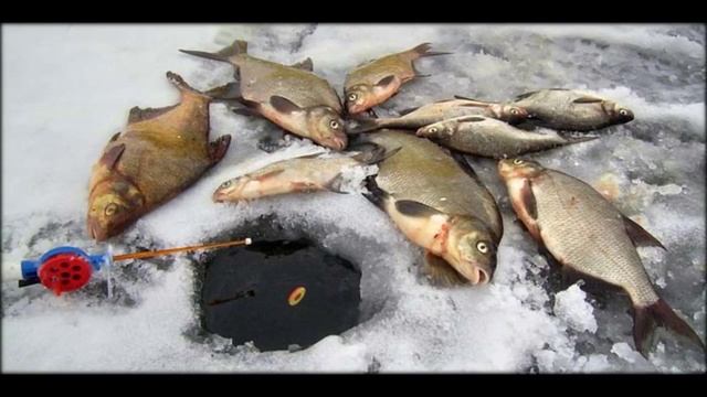купить приманку для рыбы fish hunt смотреть онлайн