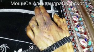 Нетленные Мощи. Преподобный Александр Свирский