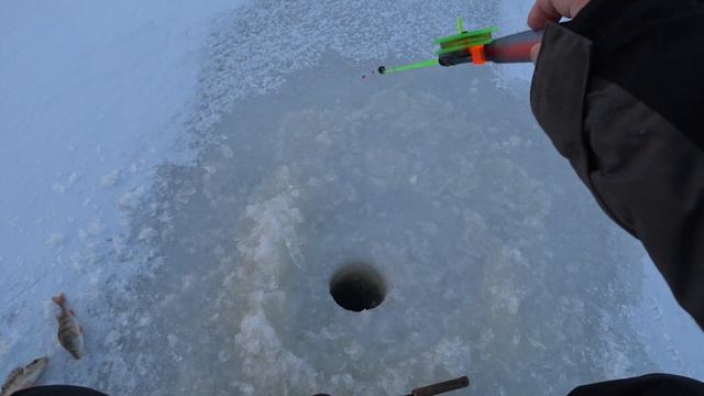 Зимняя рыбалка.Открытие сезона 2023.В поисках рыбы.Zemledus makšķerēšana.Sezonas 2023 atklāšana. смотреть онлайн