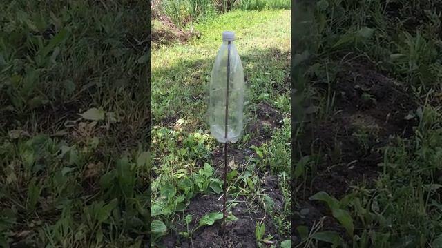 2017 07 16 Вечный двигатель на огороде в Троще смотреть онлайн