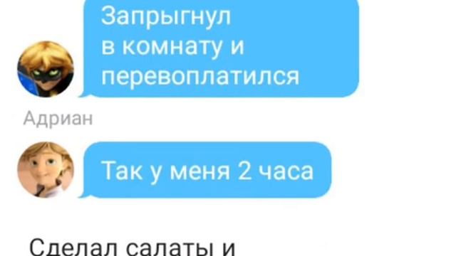 Переписка Леди Баг и супер кот кодовое слово 5 часть КОНЕЦ смотреть онлайн